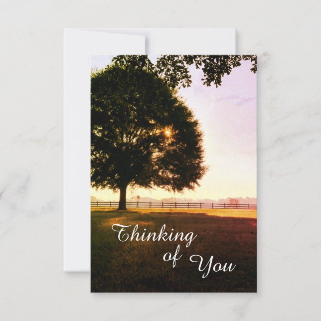 Thinking of You Landscape Sunrise Greeting Thank You Card (Front)