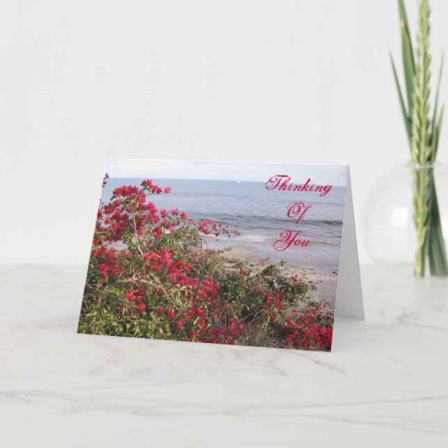 Thinking Of You Malibu Card (Front)