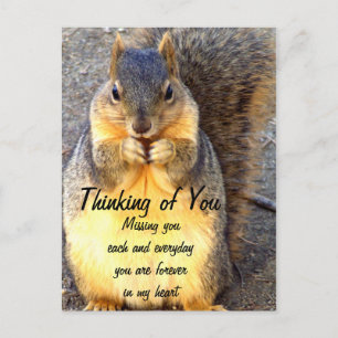 Thinking of You,Miss You_ Postcard