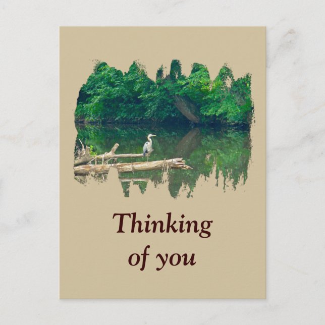 Thinking of You Morning at the Creek Postcard (Front)