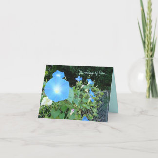 Thinking of You...Morning Glories Notecard