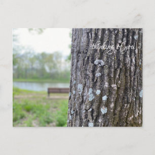 Thinking of You, nature, park bench Postcard