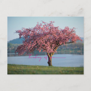 thinking of you nature postcard