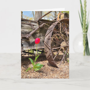 Thinking of You Old Wagon and Red Tulip Card
