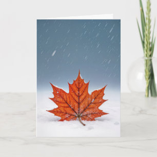 Thinking of You Orange Maple Leaf On Snow  Card