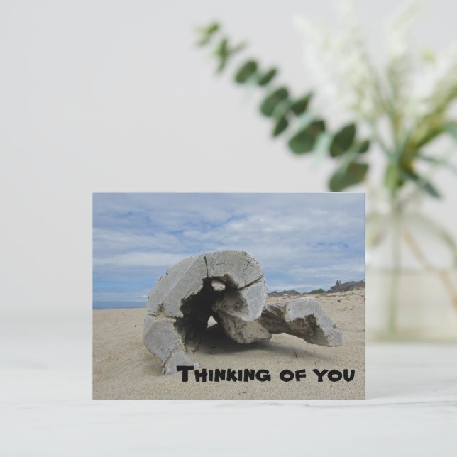 Thinking of You Pacific Ocean Beach Driftwood Postcard (Standing Front)