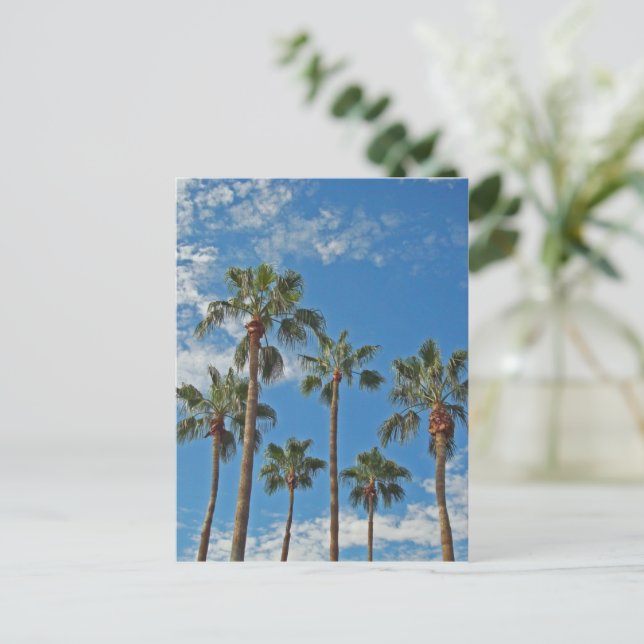 Thinking of You Palm Trees Blue Sky Paradise Postcard (Standing Front)