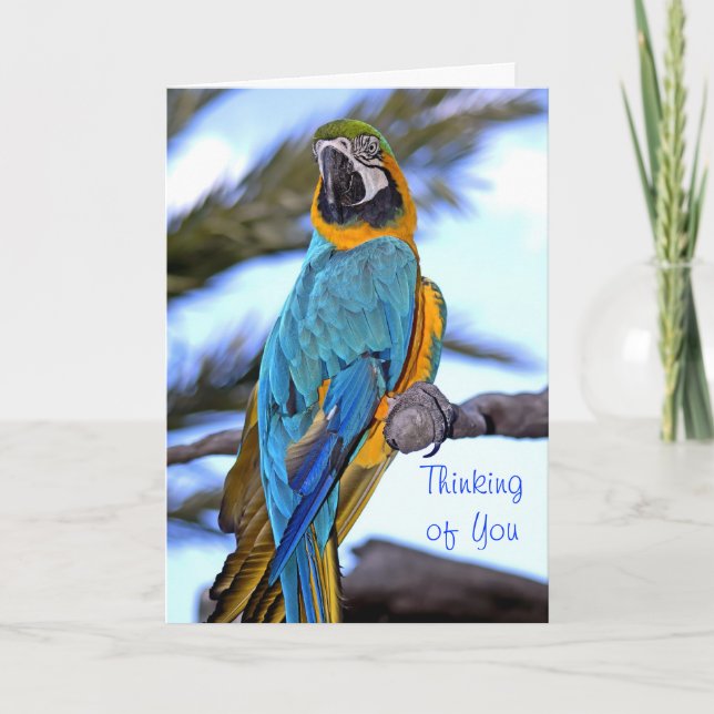 Thinking of You Parrot Card (Front)