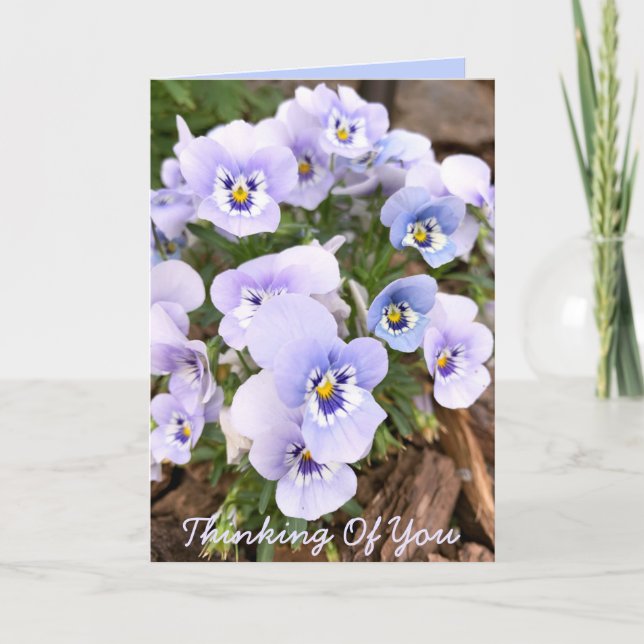 Thinking of You Pastel Purple Pansies Photo Custom Card (Front)
