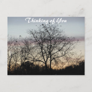 Thinking of You Pastel Skies Postcard