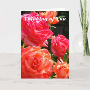 Thinking of You - Peach Rose's Card