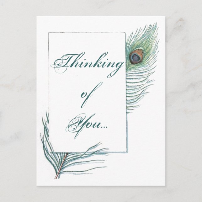 Thinking of You Peacock Feather Inspirational Postcard (Front)