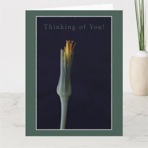 Thinking of You! Personalised Floral Greeting Card