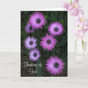 Thinking of You - Pink Floral Card Ecc 3:11