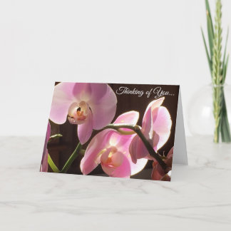 Thinking of You Pink Orchid Blank Inside Card