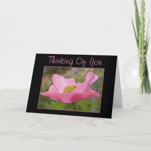 Thinking of You Pink Poppy Flower Photograph Card