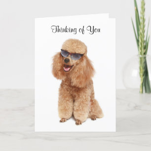 Thinking of You Poodle Greeting Card - Verse