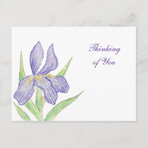 Thinking of You Postcard