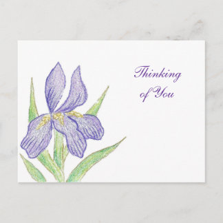 Thinking of You Postcard