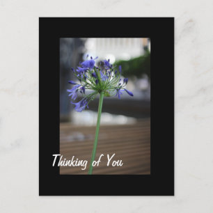 Thinking of You. Postcard