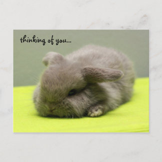 thinking of you... postcard