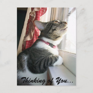 Thinking of You... Postcard