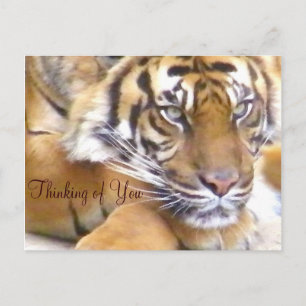 Thinking of You_ Postcard