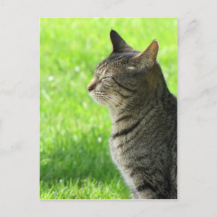 Thinking ... of you ... postcard