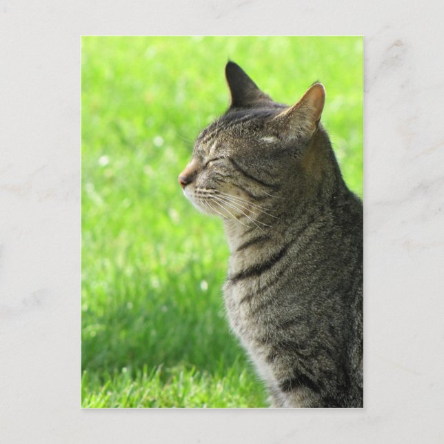 Thinking ... of you ... postcard (Front)