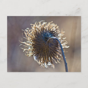 Thinking of you postcard