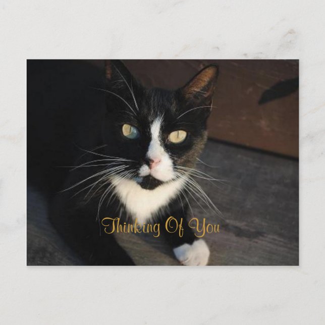 Thinking Of You Postcard (Front)