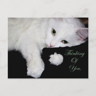 Thinking of You.. Postcard