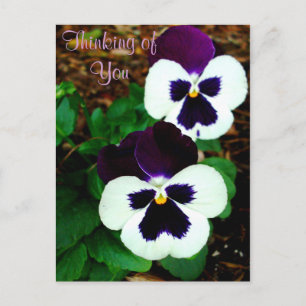 Thinking of You_ Postcard