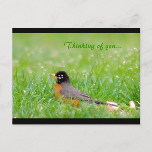 Thinking of you... postcard (Front)