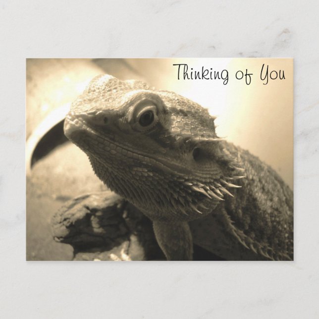 Thinking of You Postcard (Front)