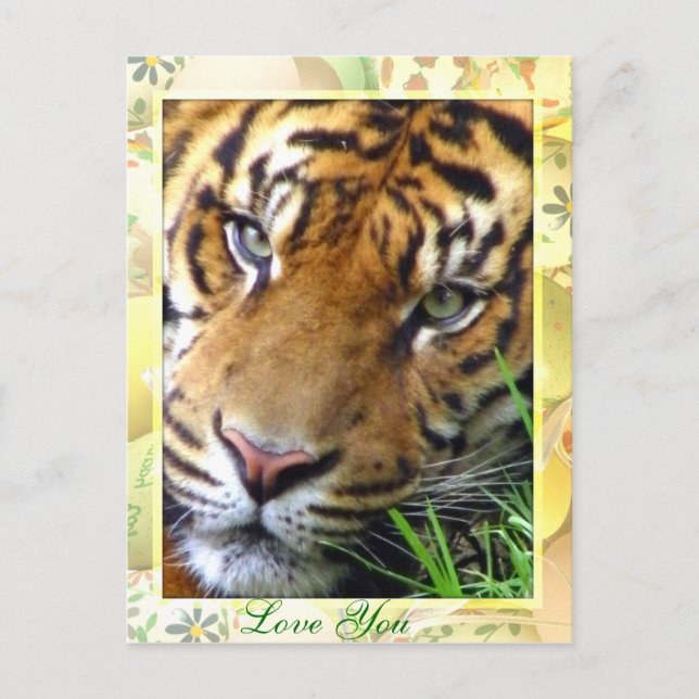 Thinking of You_ Postcard (Front)
