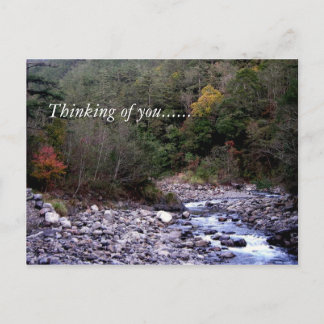 Thinking of you...... postcard