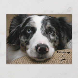 Thinking of You Postcard
