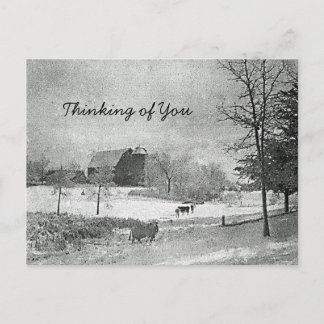 Thinking of You Postcard