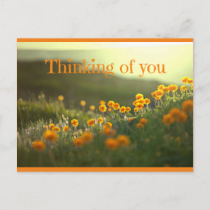 Thinking Of You Postcard Greeting Card