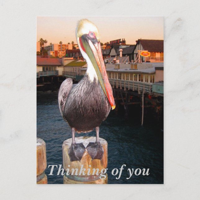 Thinking of you_Postcard Postcard (Front)