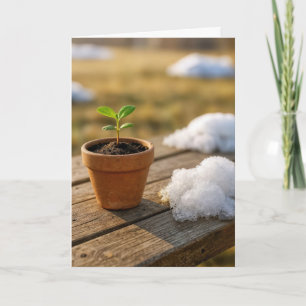 Thinking of You Potted Plant With Snow Pile Card