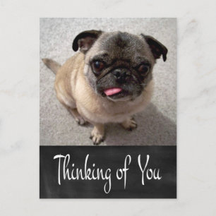 Thinking of You Pug Puppy Dog Chalkboard Post Card