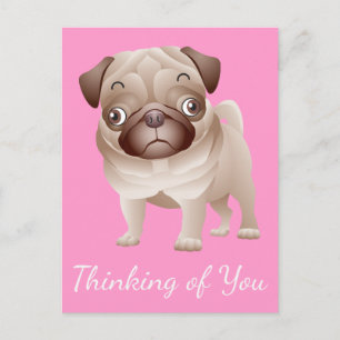 Thinking of You Pug Puppy Dog Pink Postcard