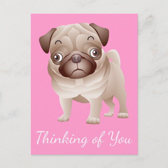 Thinking of You Pug Puppy Dog Pink Postcard (Front)