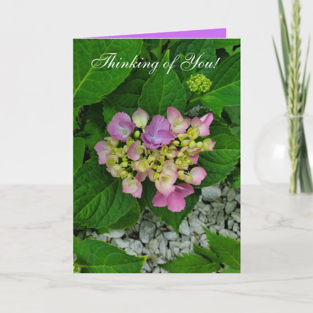 Thinking of You PUrple and Pink Flower Card (Front)