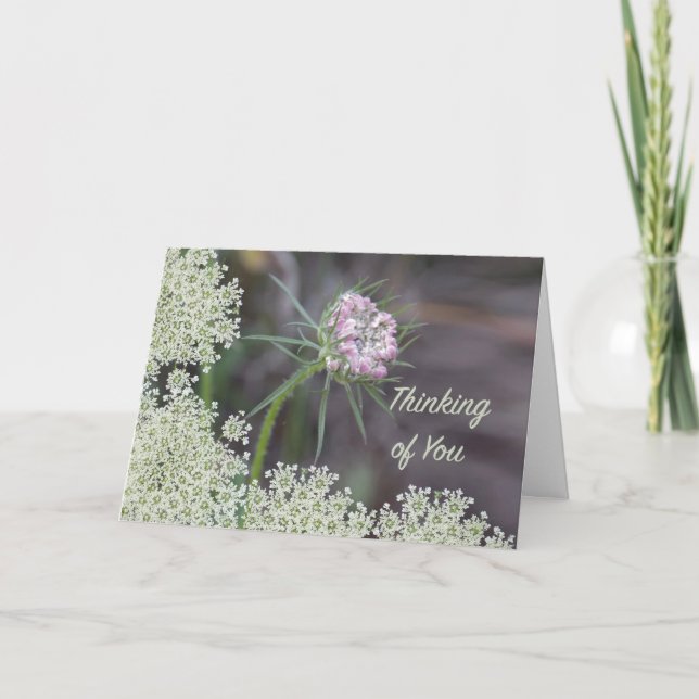 Thinking of You Queen Anne's Lace Flowers Card (Front)