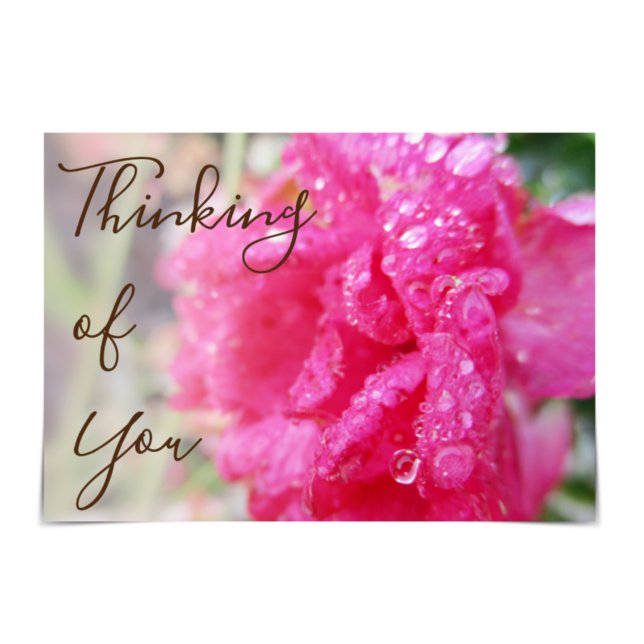 "Thinking of You" Raindrops on Roses Card (Creator Uploaded)
