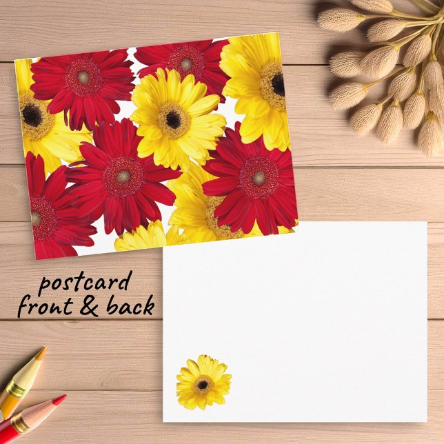 Thinking of You Red and Yellow Gerber Daisies Postcard (gerbera daisy postcard insitu)