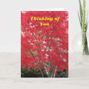 Thinking of You Red Fall Leaves Tree Card